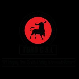 Toro Construction Services Inc. revolutionizes construction with integrity, safety, and a focus on K-12 educational facilities.