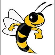 Swarm Pest Control provides reliable pest control services for residential and commercial properties using eco-friendly methods.