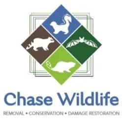 Chase Wildlife specializes in humane animal removal and wildlife conservation services in Colorado.