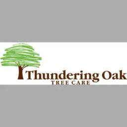 Expert tree care services in Auburn, WA, prioritizing health, safety, and beauty of trees.