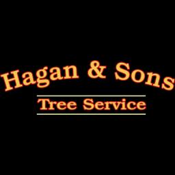 Hagan & Sons Tree Service offers expert tree care, excavation, and demolition services in Carroll County, MD since 1989.