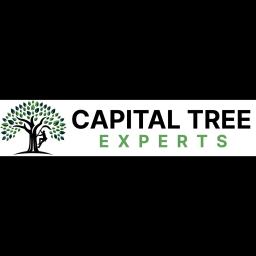 Capital Tree Experts: Expert, reliable, eco-friendly tree care in Thurston County.