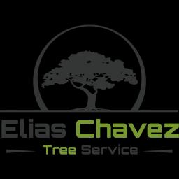 Expert tree services in Chattanooga, TN, specializing in trimming, removal, and emergency care at affordable rates.
