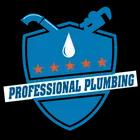 Professional Plumbing LLC offers reliable 24/7 plumbing services in Shoreline, WA, ensuring quality and customer satisfaction.