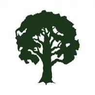 Tree Solutions Florida offers expert tree removal and maintenance services in Daytona Beach and surrounding areas.