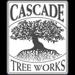 Expert tree services including pruning, removal, and preservation in the Vancouver, WA area.