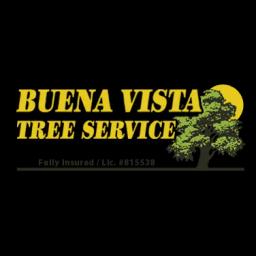Buena Vista Tree Service offers expert arborist services focused on tree care, maintenance, and environmental sustainability.