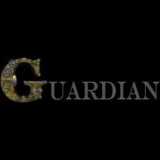 Guardian Asphalt LLC offers quality asphalt maintenance services for residential and commercial properties in Chicagoland.