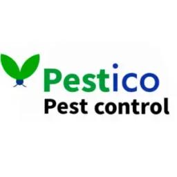 Pestico Pest Control offers eco-friendly, customized pest management solutions for homes and businesses in North Texas.