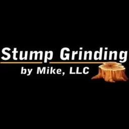Expert stump grinding services in Jackson, WI. Licensed, insured, and community-oriented. Free quotes available.