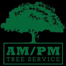 Family-owned tree service offering 24/7 emergency care and quality tree maintenance in California.