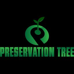 Expert tree care services in Concord, NH, specializing in maintenance, removal, and preservation for residential and commercial clients.