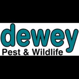 Dewey Pest & Wildlife offers eco-friendly pest control solutions in the Boston area since 1991, focusing on family care.