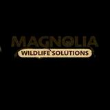 Magnolia Wildlife Solutions offers humane wildlife removal services in Olive Branch, MS, ensuring safe environments for homes and businesses.