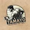Tamayo Plastering Inc: Exceptional plastering solutions for residential and commercial projects, emphasizing quality and craftsmanship.