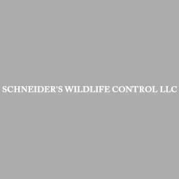 Expert wildlife control services in Central Wisconsin with over 24 years of experience. Pesticide-free solutions.