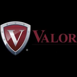 Valor Insurance offers tailored insurance solutions with exceptional customer support, emphasizing personalized protection strategies.