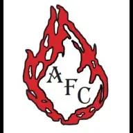 Alpha Fire Protection provides fire safety services including hood cleaning, extinguisher maintenance, and system inspections.
