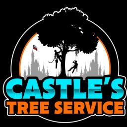 Castle's Tree Service offers expert tree care solutions in Tyler, Lindale & Whitehouse, TX, ensuring healthy, thriving trees.