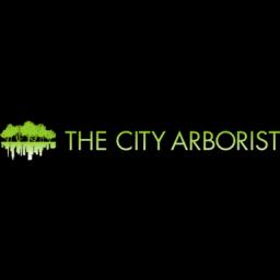 Expert tree care for residential and commercial landscapes in Greenville, SC, with 17 years of certified experience.