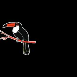 Toucan Roofing: Your trusted roofing experts in the Dallas/Fort Worth area since 1992.