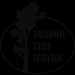 Amador Tree Service offers professional tree care and removal services in Ione, CA, ensuring safety and beauty for every property.