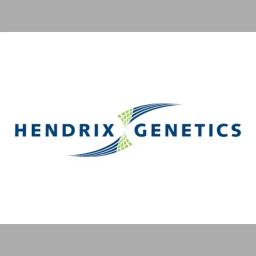Henning Companies: A trusted general contractor in construction services with 100 years of expertise in various markets.
