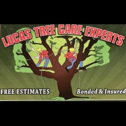 Lucas Tree Care Experts: 35+ years of tree services in DuPage County, IL, specializing in removal, trimming, and emergency care.