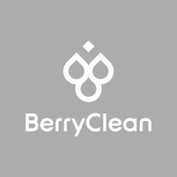 BerryClean: Eco-friendly cleaning services providing fair jobs and meticulous care across the San Francisco Bay Area.