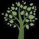 Expert tree care services in Napa with a focus on health, safety, and customer satisfaction.