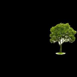 MRB Tree Service offers expert tree care in Dayton, OH, specializing in removal, trimming, and emergency services.