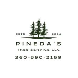 Pinedas Tree Service LLC offers expert tree care, including pruning and removal, to enhance your landscape's beauty and value.