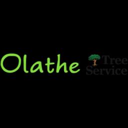 Family-owned tree service in Olathe, KS, with 33 years of experience in tree care, pruning, and storm damage cleanup.