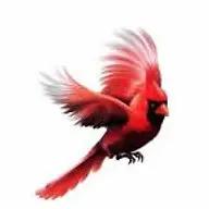 Cardinal Elevator Service offers top-notch installation and repair of residential and commercial elevators in Bastrop, TX.