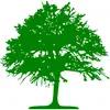 Experienced tree service provider in Sonoma Valley, offering safe and professional care for all tree needs.