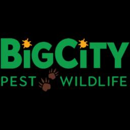 Big City Pest & Wildlife offers expert pest and wildlife control solutions in Houston, tailored to individual needs.