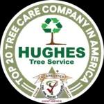 Expert tree care services in Omaha with over 50 years of experience in residential and commercial care.