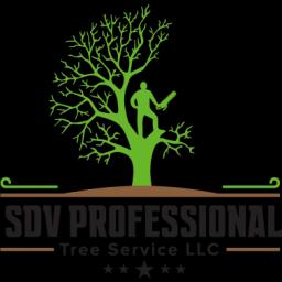 Expert tree services for a beautiful and safe landscape in Huntsville, AL, with over 12 years of experience.