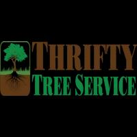 Thrifty Tree Service Inc. offers expert tree care for residential, commercial, and public clients in Los Angeles since 1985.