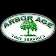 Expert tree services & landscaping in San Diego since 1982, specializing in maintenance & removal without harm.