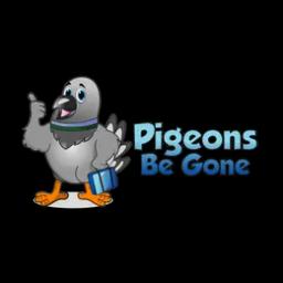 Expert pigeon control and removal services in Las Vegas, specializing in humane solutions and safety for properties.