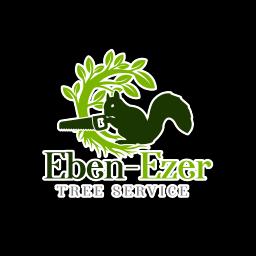 Eben-Ezer Tree Service offers expert tree care for residential and commercial clients in Dallas, TX, ensuring beautiful and healthy landscapes.