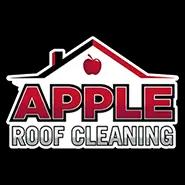 Expert roof cleaning services in Tampa, specializing in non-pressure techniques for shingle, tile, and metal roofs.