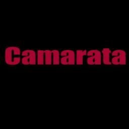 Camarata Masonry: Leading contractors in masonry, natural stone, and tile services with award-winning craftsmanship.