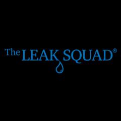 Leak Squad specializes in pool and slab leak detection, serving multiple locations across the U.S. since 2006.