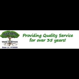 David's Tree Service provides expert tree care for residential and commercial clients, focusing on safety and customer satisfaction.