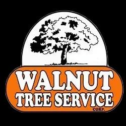 Walnut Tree Service, a family-owned and operated tree care provider, offers expert tree removal and maintenance in Massachusetts.
