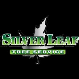 SilverLeaf Tree Service provides expert tree care and maintenance in Aromas, CA, with over 20 years of experience.