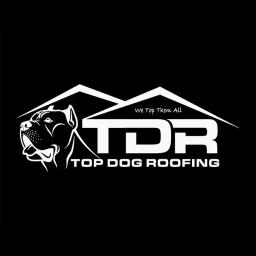 Top Dog Roofing Inc. is a leading roofing company in Central Florida, specializing in residential roof repairs and installations.