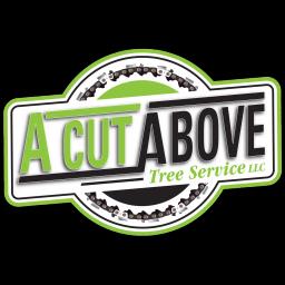 Expert tree care and removal services in Connecticut with over 20 years of experience and top-notch customer service.